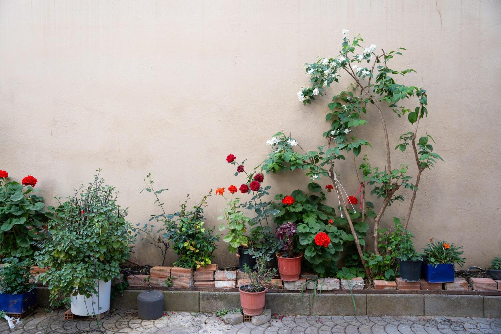 Nyx Guesthouse Tripoli Exterior foto